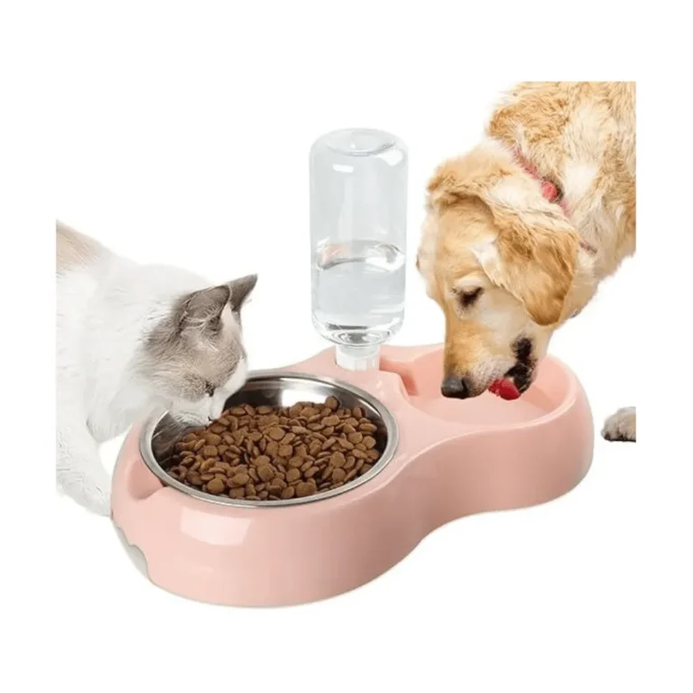 Hydratation facile Le bol pour animaux de compagnie avec bouteille d'eau intégrée